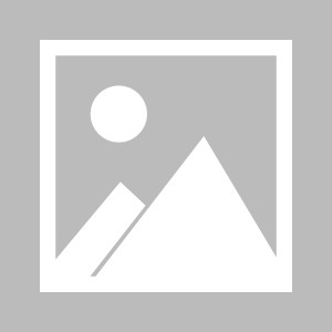 麻将-【中国足球非官方发言人】艾克森，最强归化纪录刷子